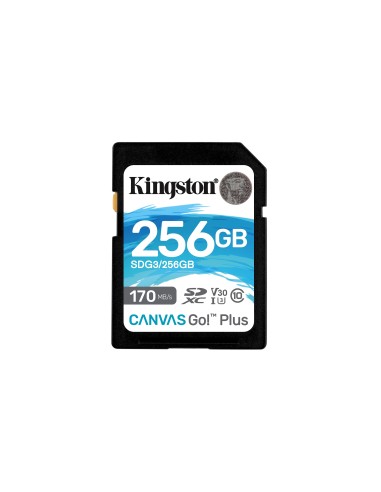 SDXC Card 256GB Kingston U3 V30 Canvas Go! Plus